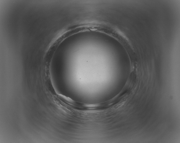 X0000051861352200506241310