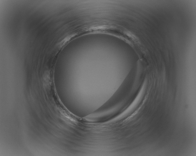 X0000051861353200506241310