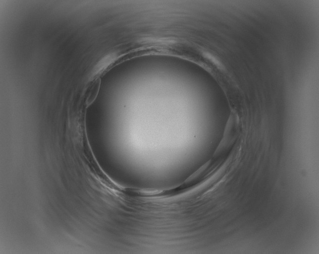 X0000051861354200506241310