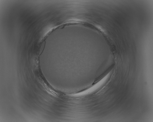 X0000051861355200506241310