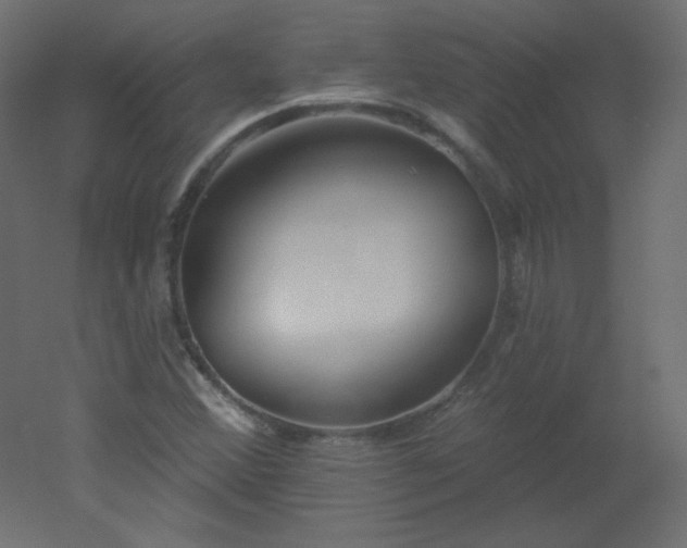 X0000051861356200506241310