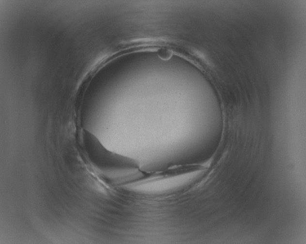 X0000051861357200506241310