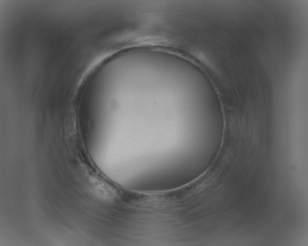 X0000051861358200506241310