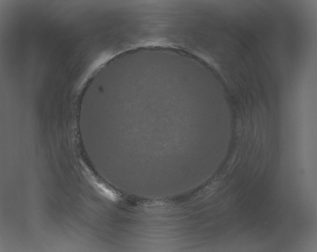 X0000051861359200506241310