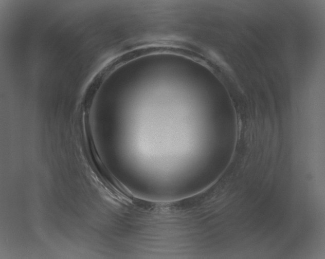 X0000051861360200506241310