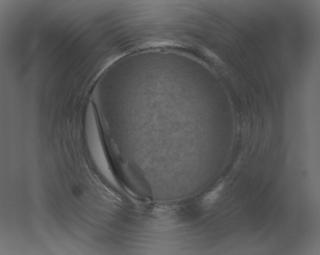 X0000051861361200506241310