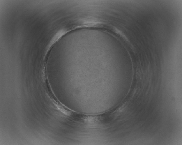 X0000051861362200506241310