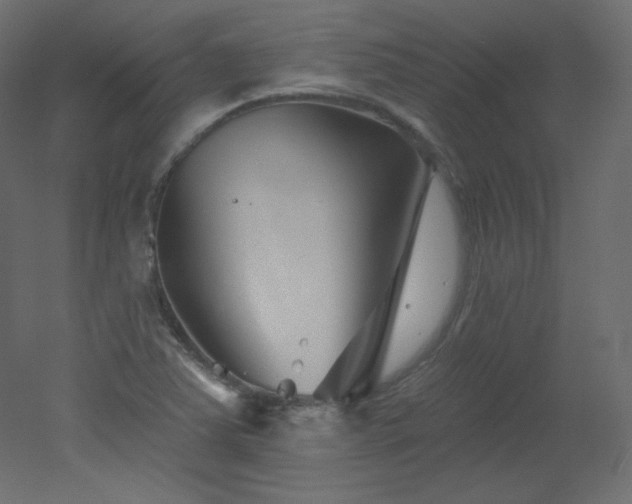 X0000051861363200506241310