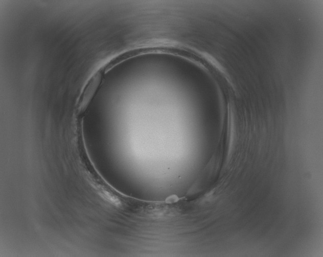 X0000051861364200506241310