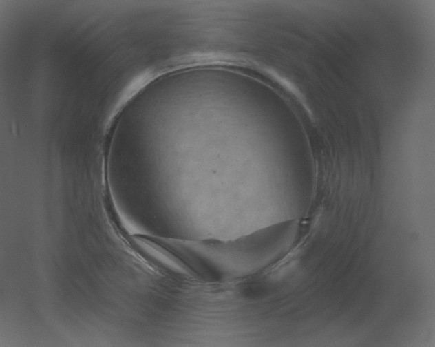 X0000051861365200506241310