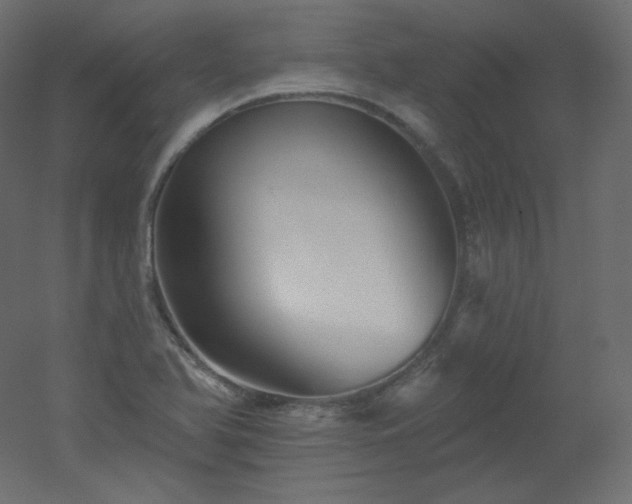 X0000051861366200506241310