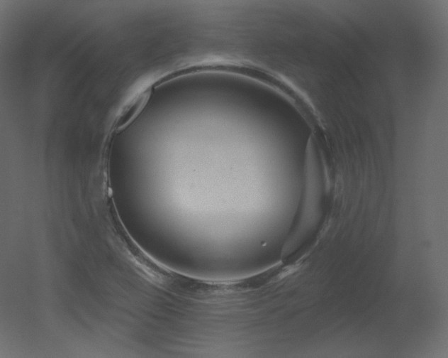 X0000051861367200506241310