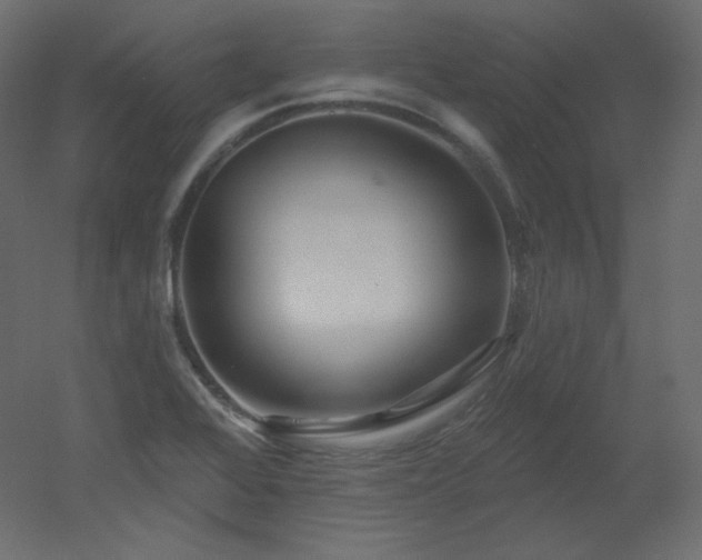 X0000051861368200506241310