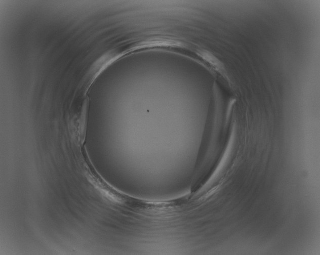 X0000051861369200506241310