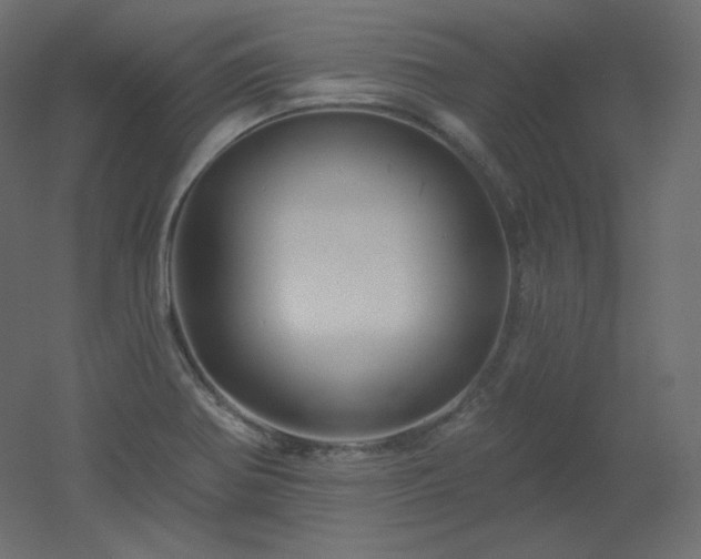 X0000051861370200506241310