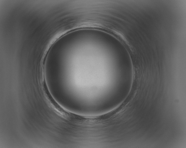 X0000051861371200506241310