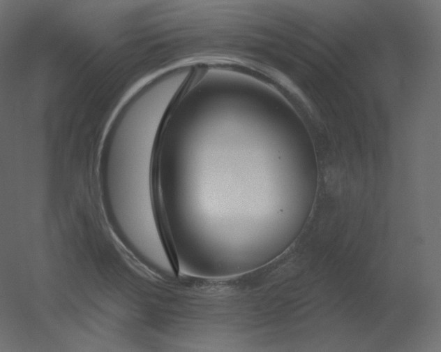 X0000051861372200506241310