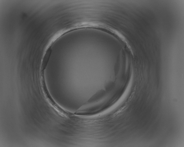 X0000051861373200506241310