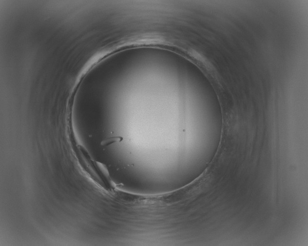 X0000051861374200506241310