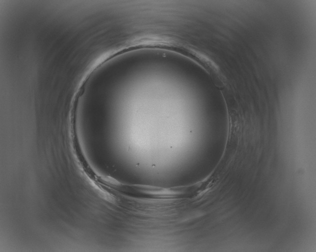 X0000051861375200506241310