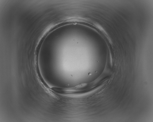 X0000051861376200506241310