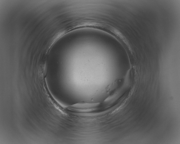 X0000051861377200506241310