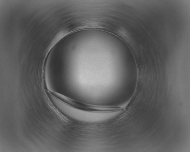 X0000051861378200506241310