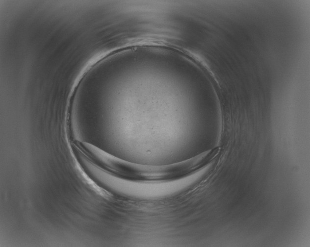 X0000051861379200506241310