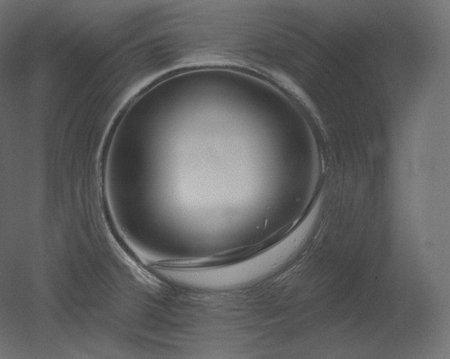 X0000051861380200506241309