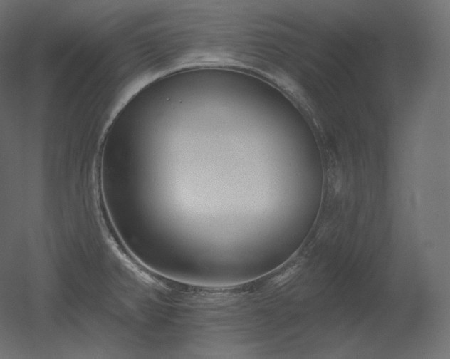 X0000051861382200506241309