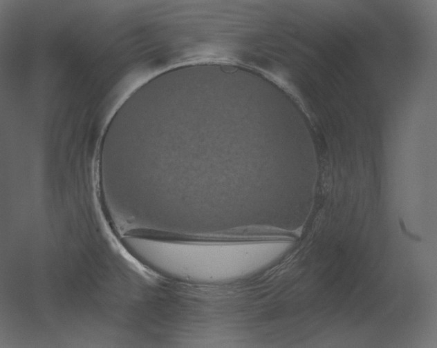 X0000051861383200506241309