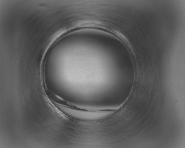 X0000051861384200506241309