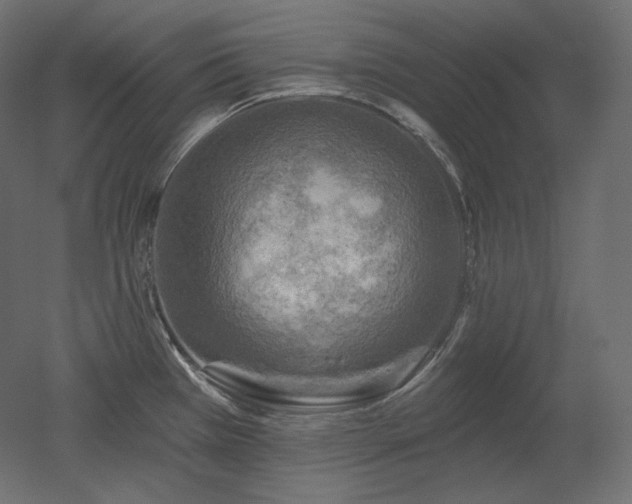 X0000051861385200506241309