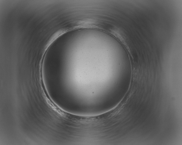 X0000051861386200506241309