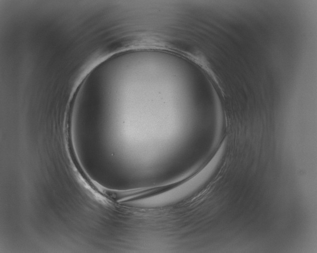 X0000051861387200506241309