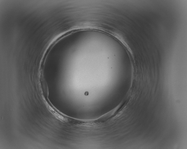 X0000051861388200506241309