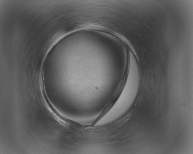 X0000051861391200506241309