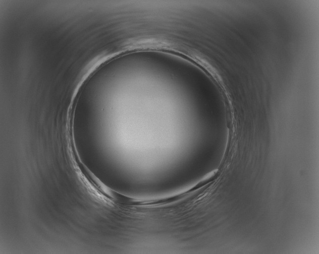 X0000051861392200506241309