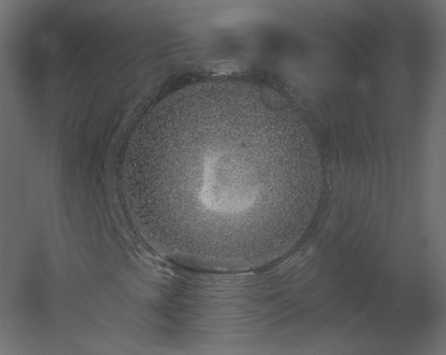 X0000051861393200506241308