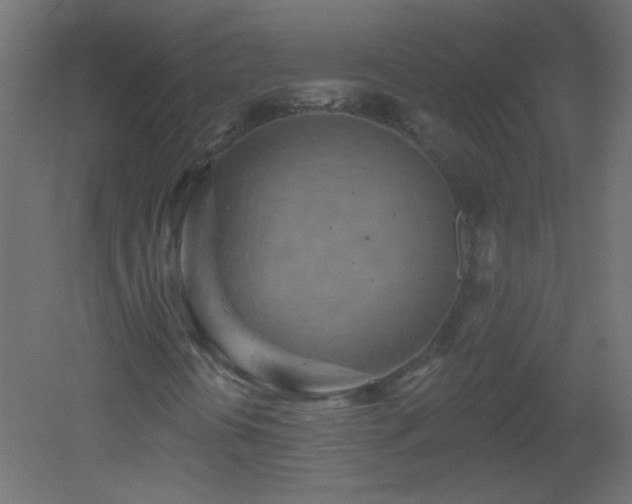 X0000051861394200506241308