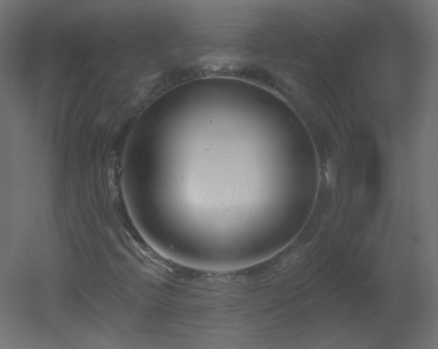 X0000051861396200506241309