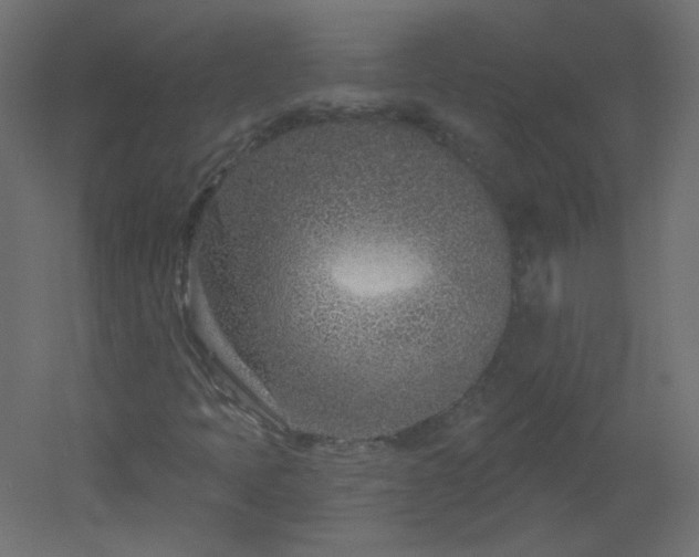 X0000051861397200506241309