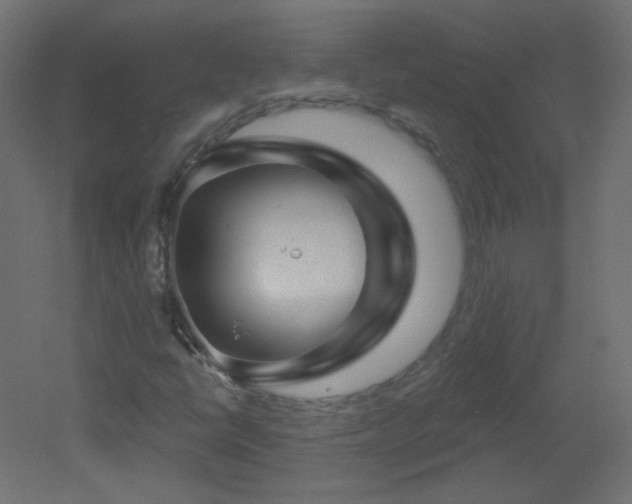 X0000051861398200506241309