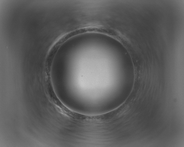 X0000051861400200506241309