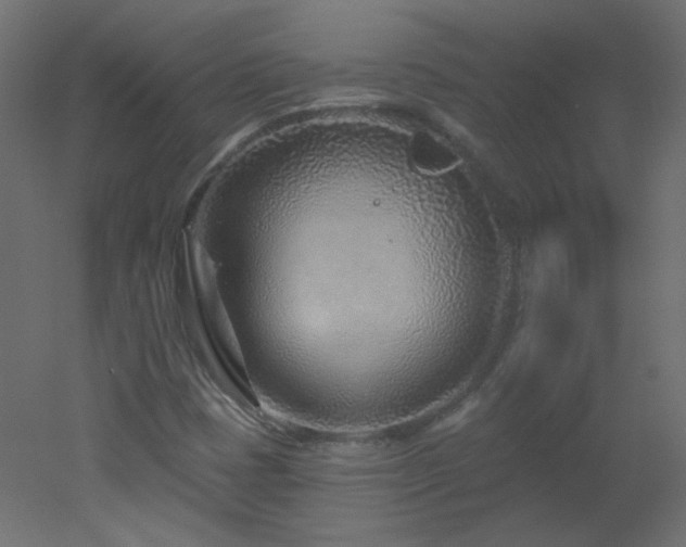 X0000051861401200506241309