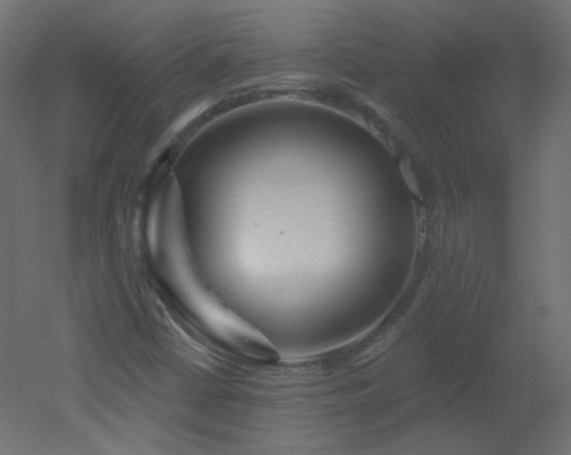 X0000051861402200506241309