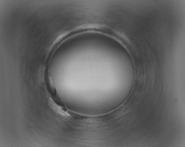 X0000051861404200506241309