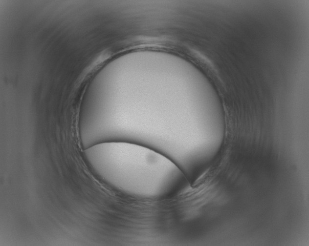 X0000051861411200506241309