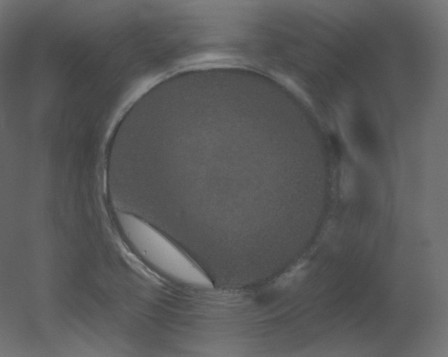 X0000051861413200506241309