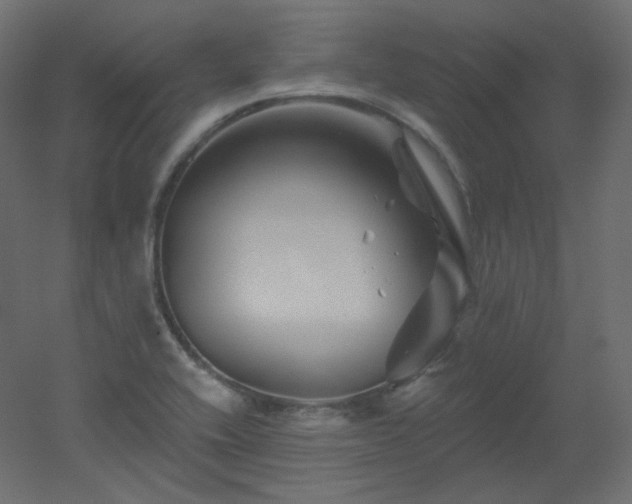 X0000051861416200506241309